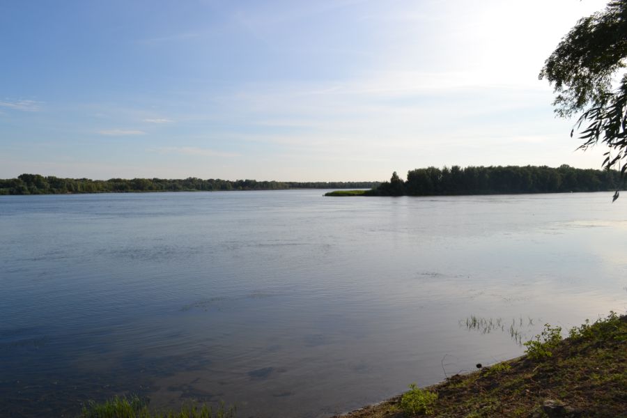 Вершина дельты Волги, image of landscape/habitat.