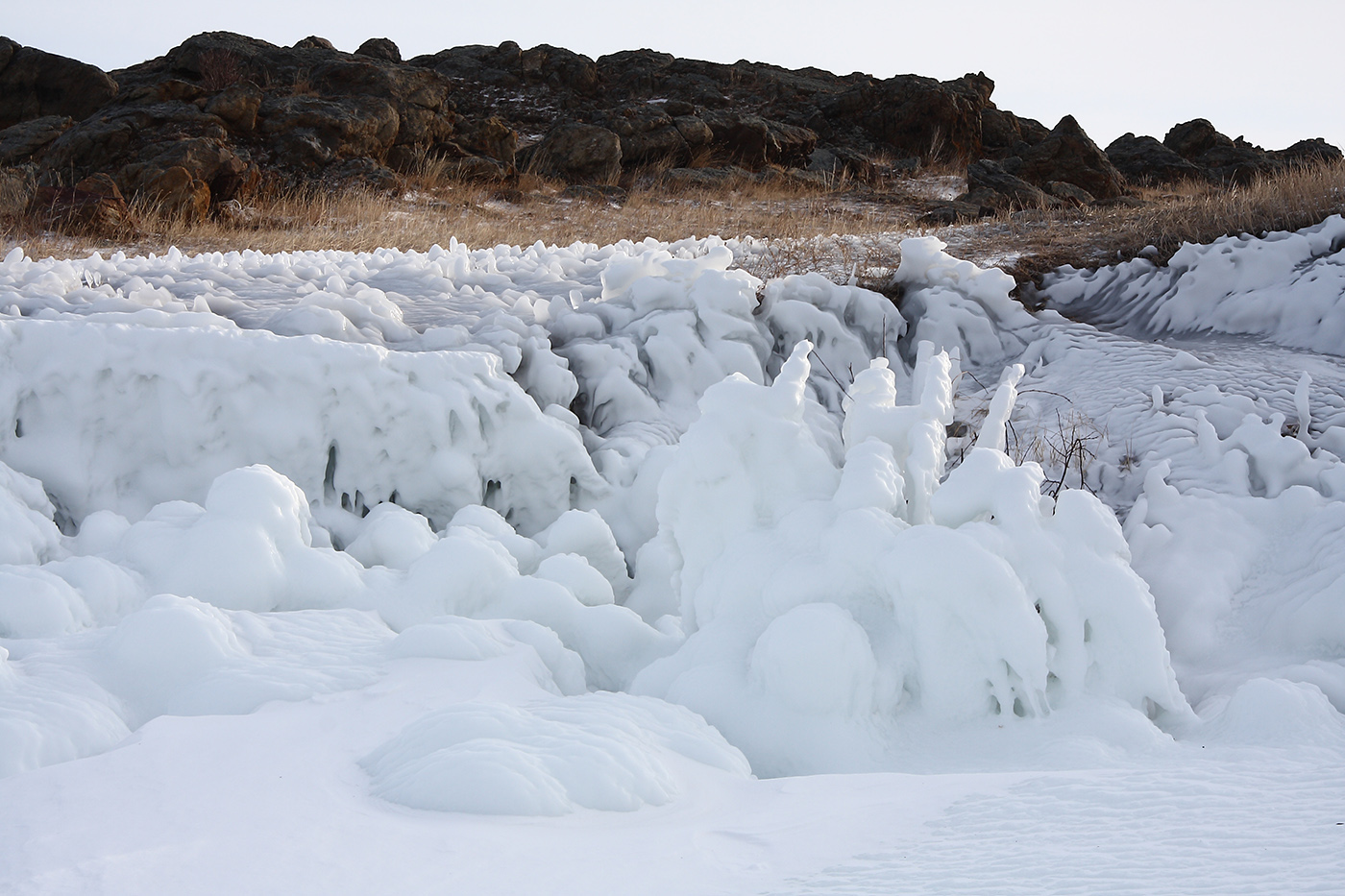 Мыс Уюга, image of landscape/habitat.