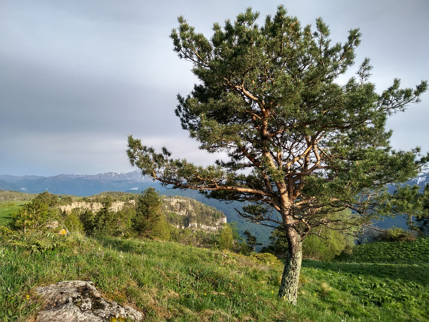 Хребет Малый Бамбак, image of landscape/habitat.