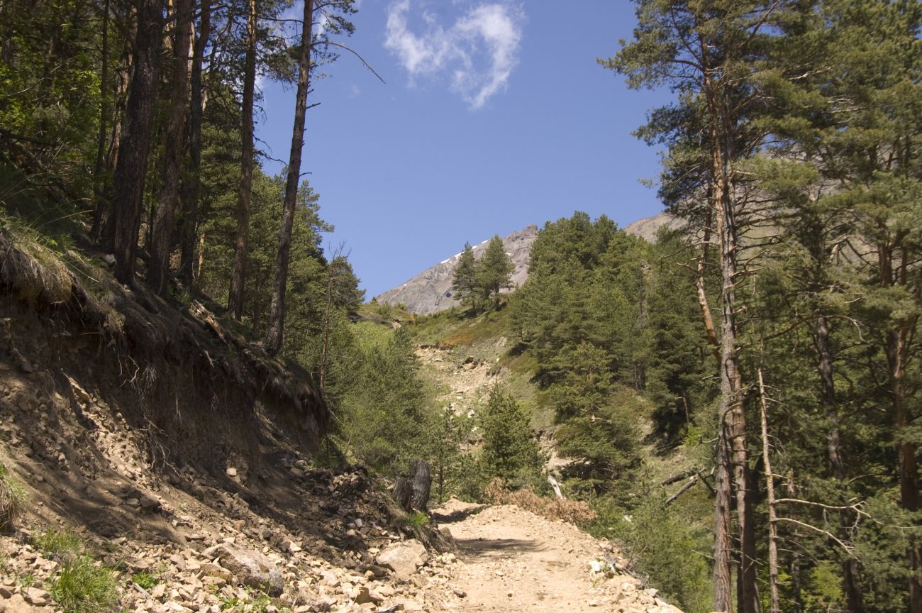 Долина реки Сылтрансу, image of landscape/habitat.