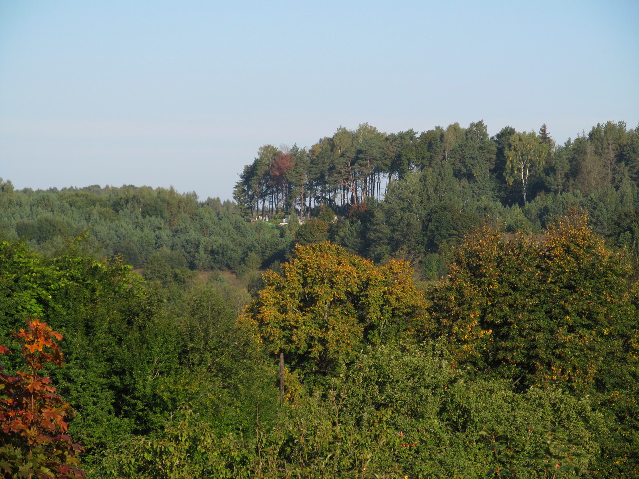 Сулятичи, image of landscape/habitat.