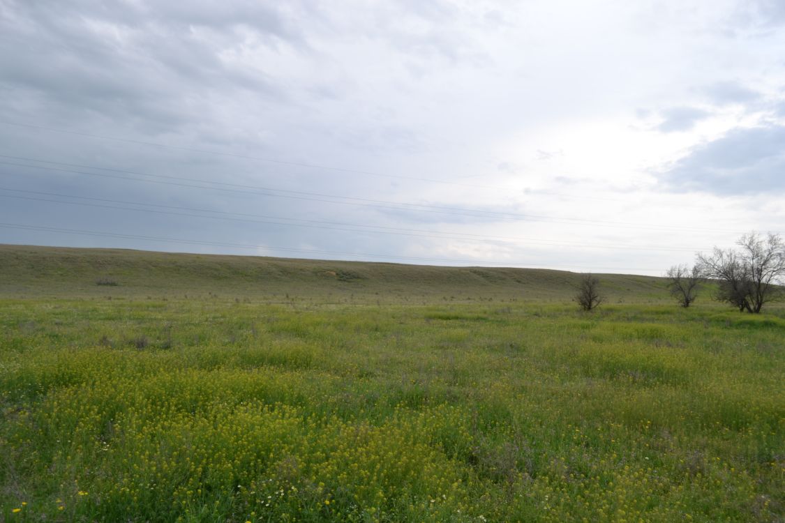 Дельта (средняя зона), image of landscape/habitat.