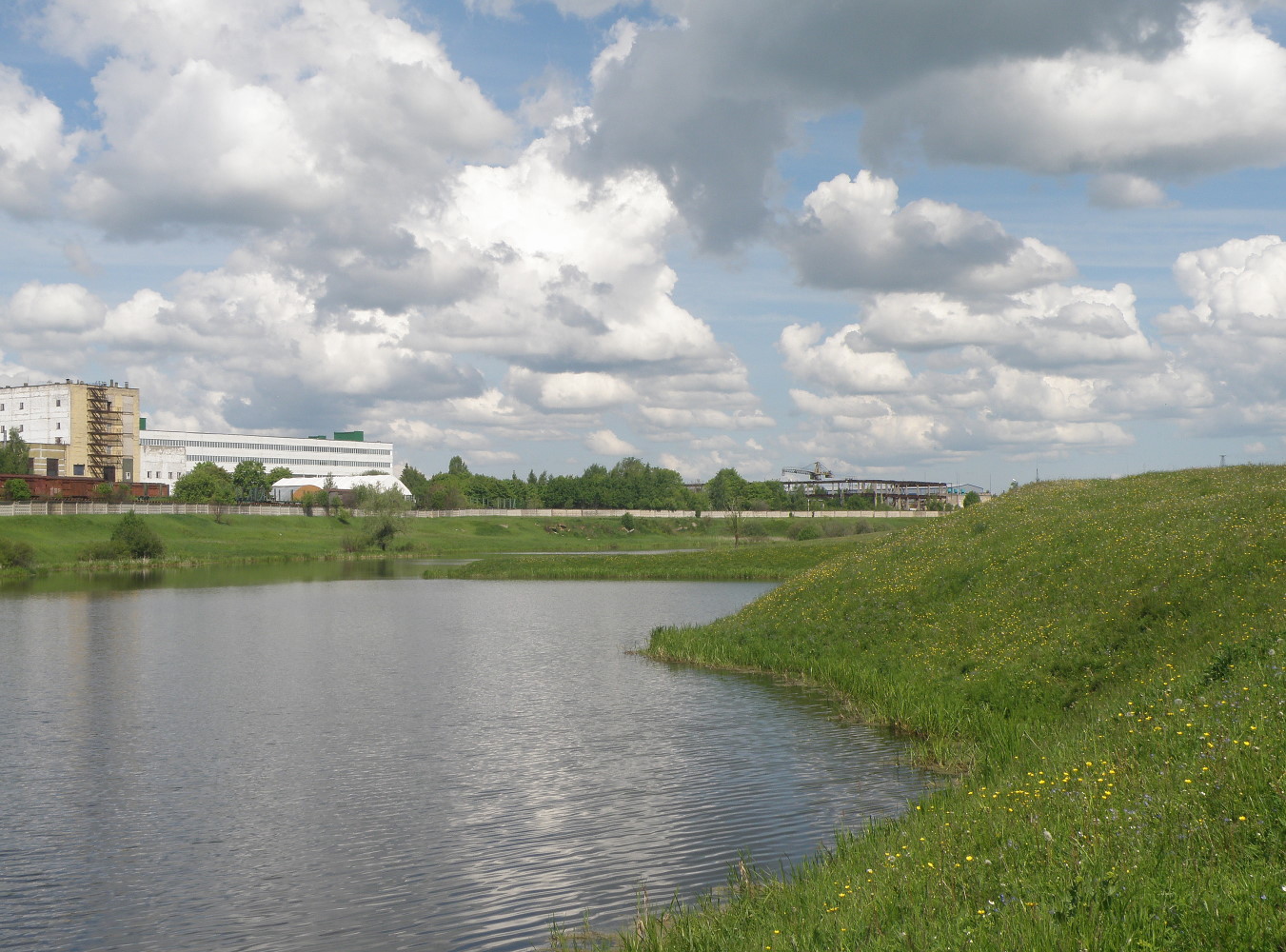 Окрестности с. Большая Брембола, image of landscape/habitat.