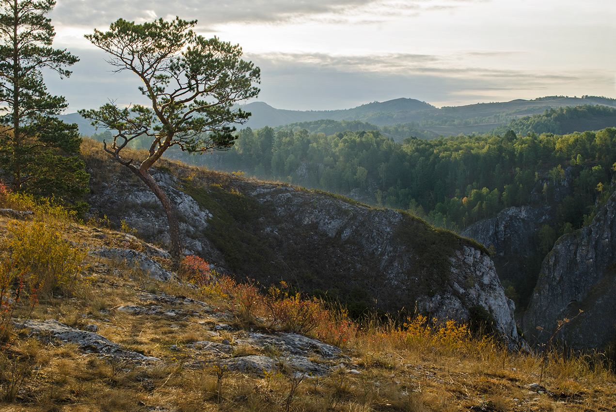 Мурадымовское ущелье, image of landscape/habitat.