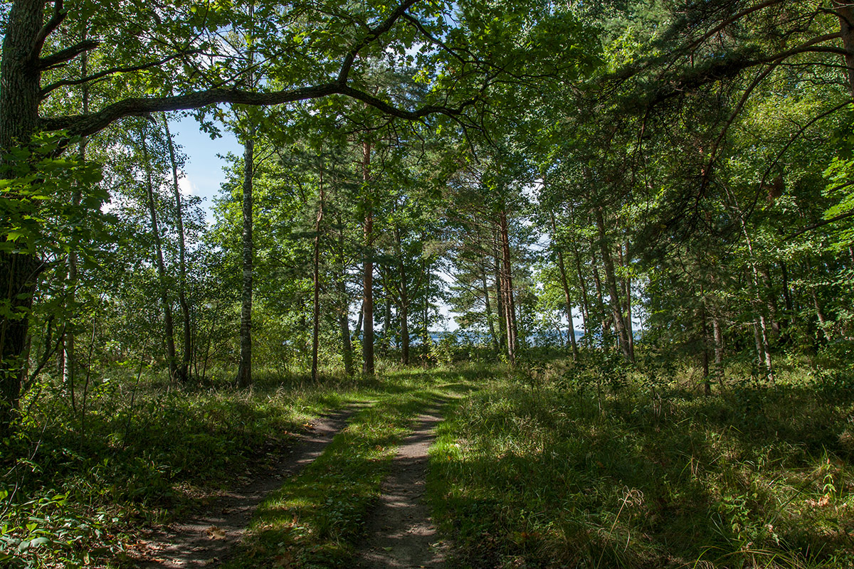 Мыс Дубовский, image of landscape/habitat.