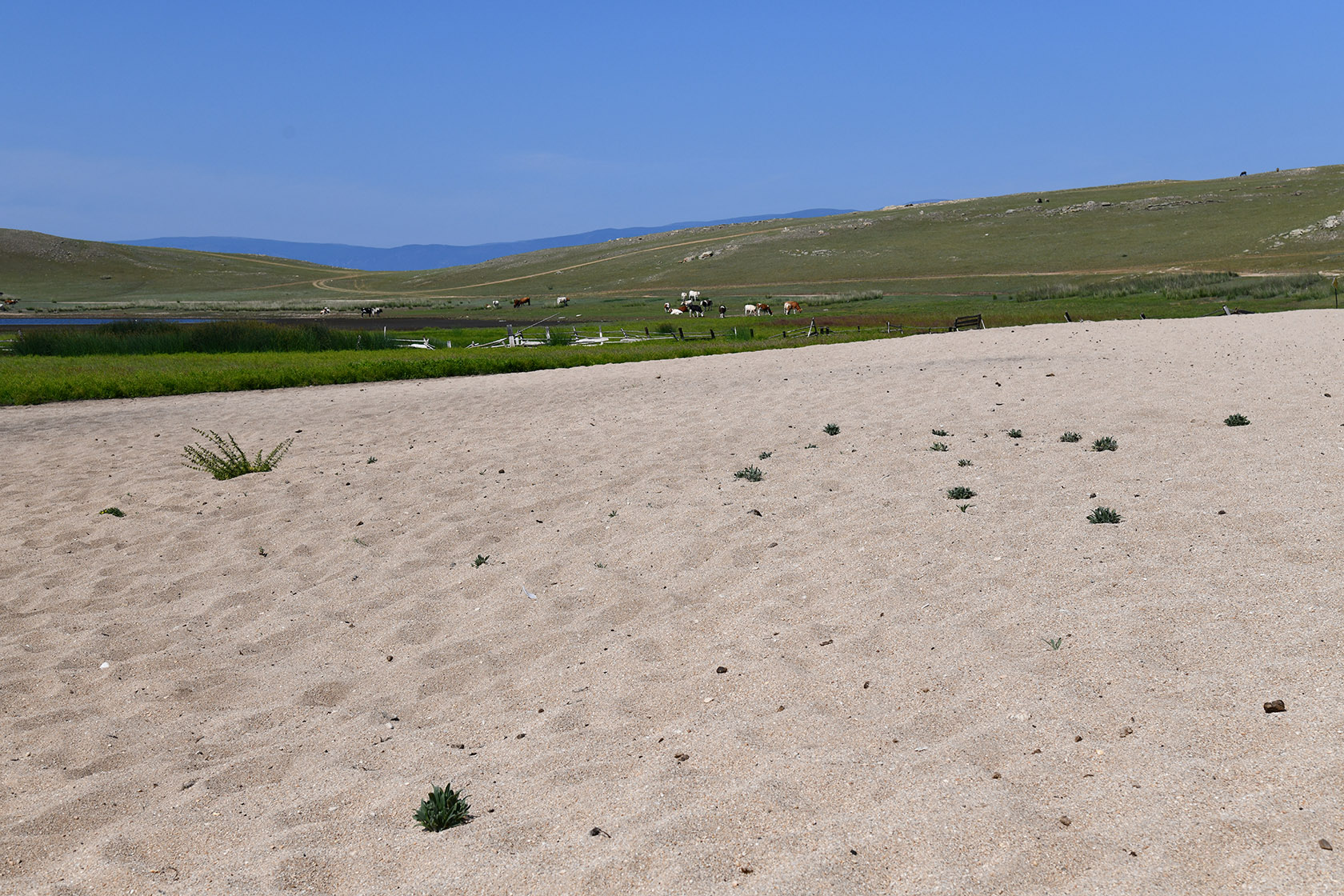 Ольхон, image of landscape/habitat.