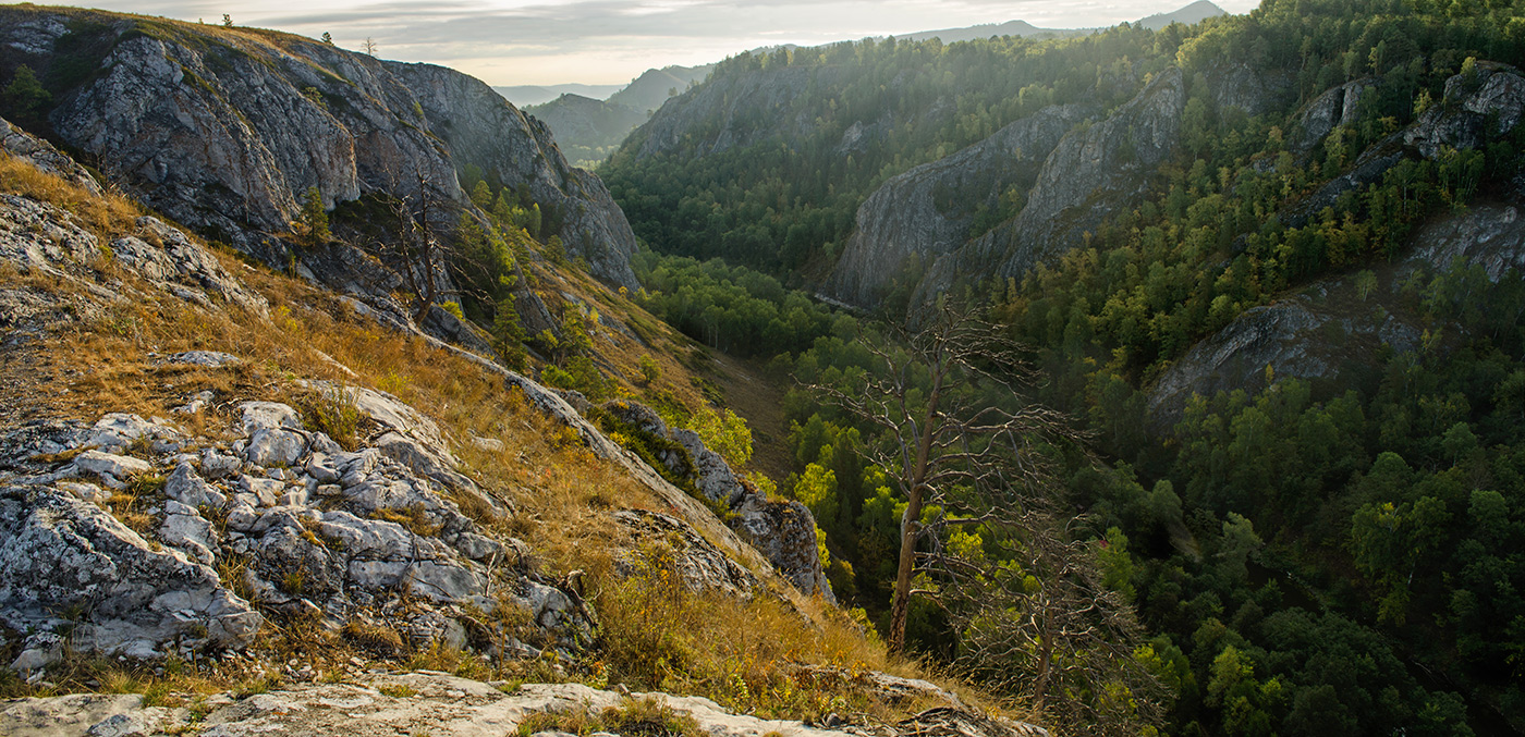 Мурадымовское ущелье, image of landscape/habitat.