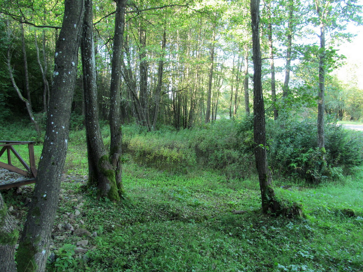 Святой источник, image of landscape/habitat.