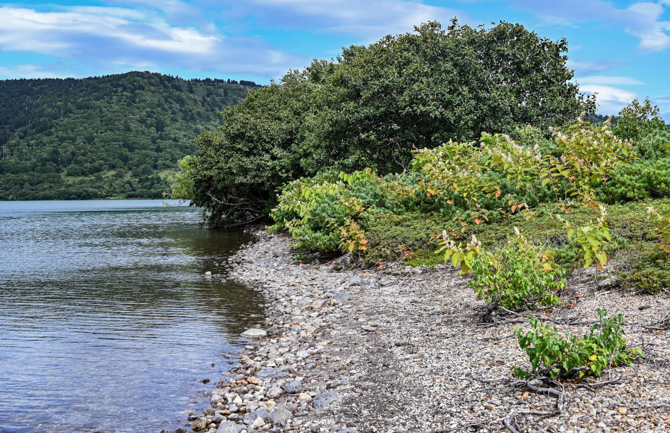 Озеро Горячее, image of landscape/habitat.