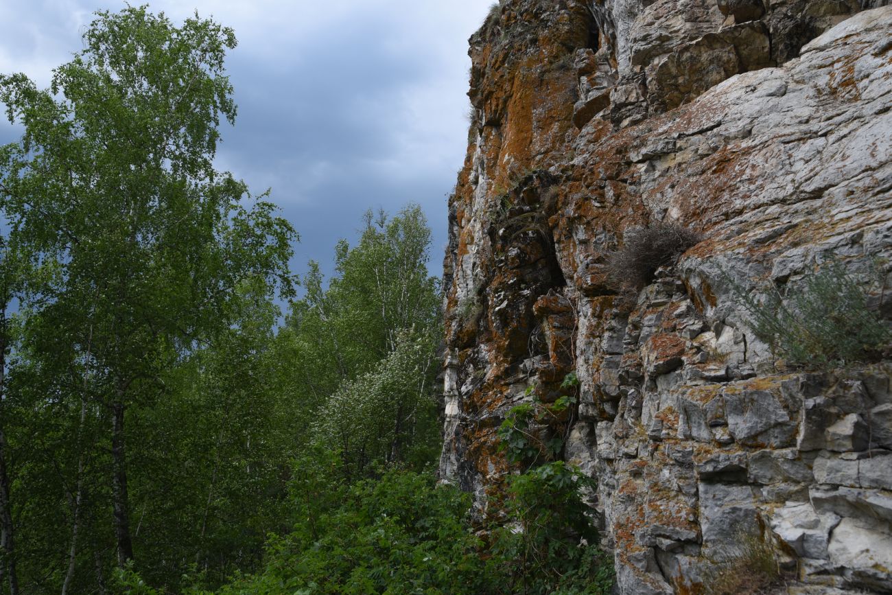 Скала Яман-Таш и окрестности, image of landscape/habitat.