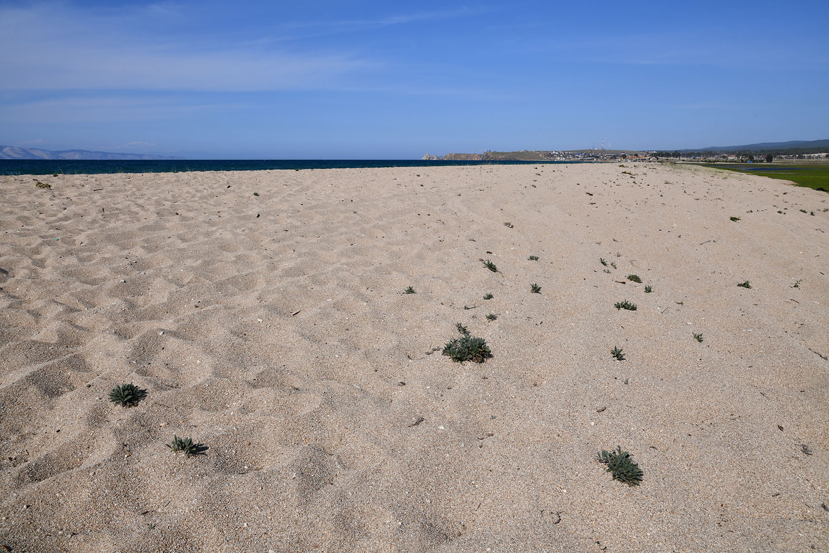 Ольхон, image of landscape/habitat.