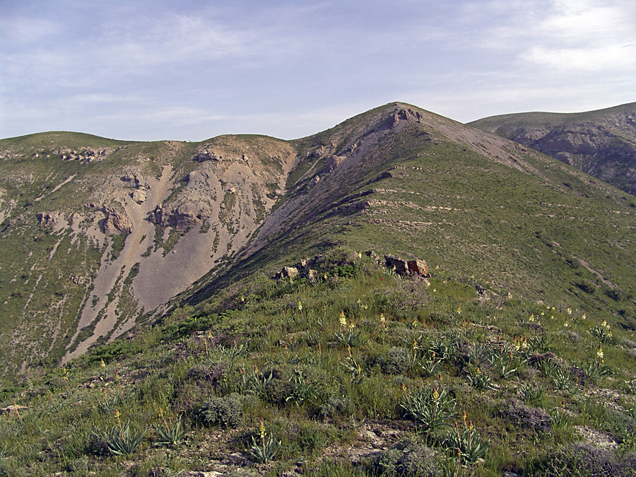 Ущелье Кенозен, image of landscape/habitat.