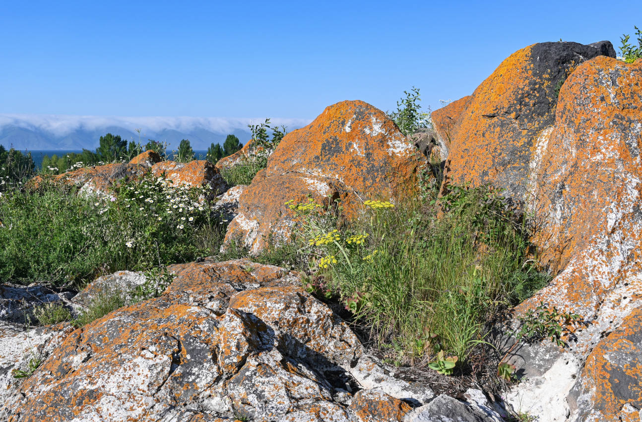 Окрестности села Норашен, image of landscape/habitat.