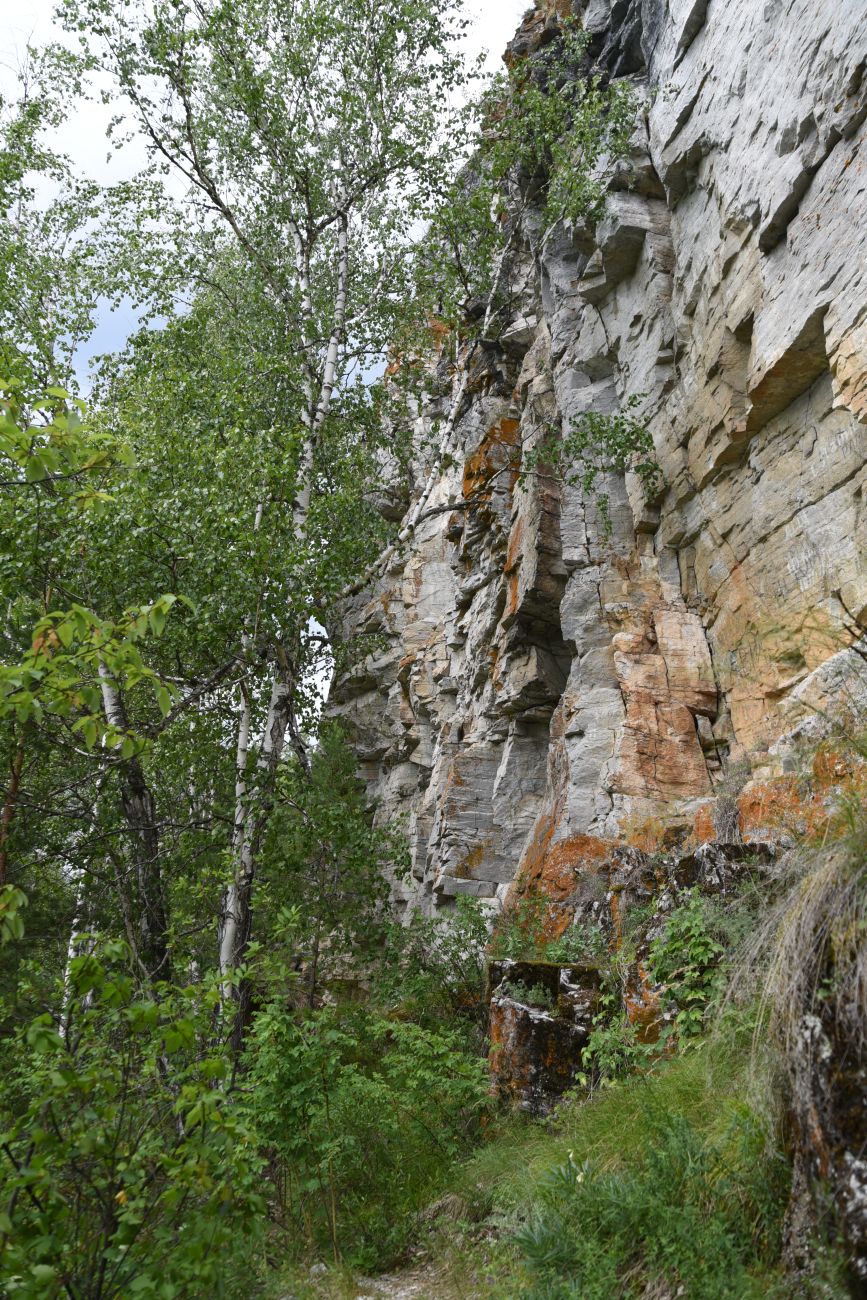 Скала Яман-Таш и окрестности, image of landscape/habitat.