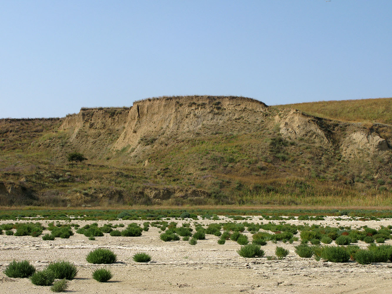 Витязевский лиман, image of landscape/habitat.