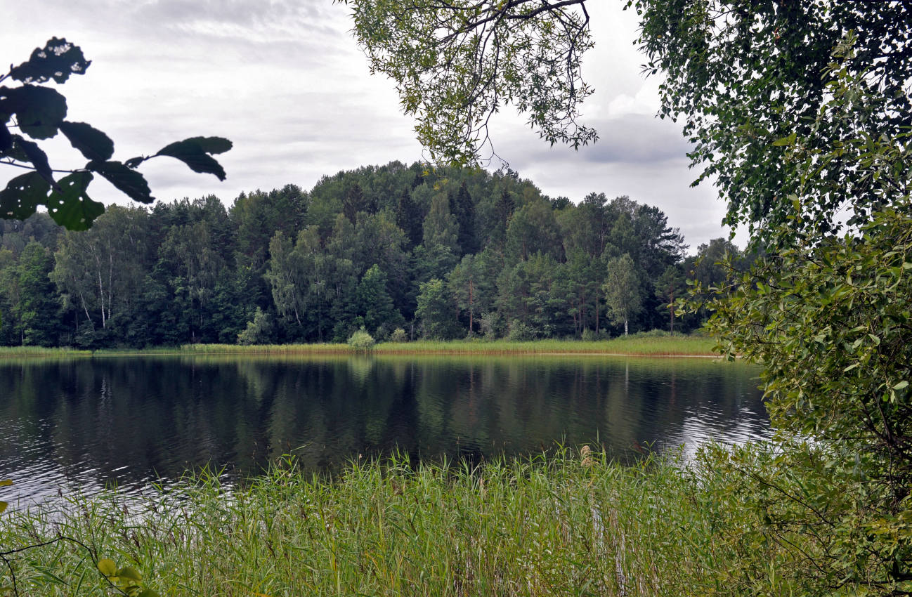 Озеро Сапшо, image of landscape/habitat.