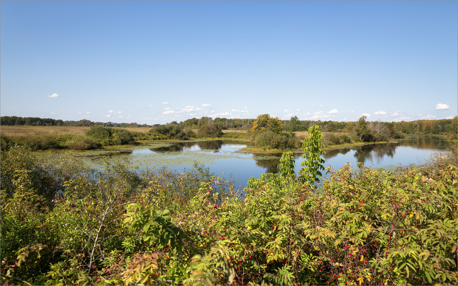 Стрелка Оки и Клязьмы, image of landscape/habitat.