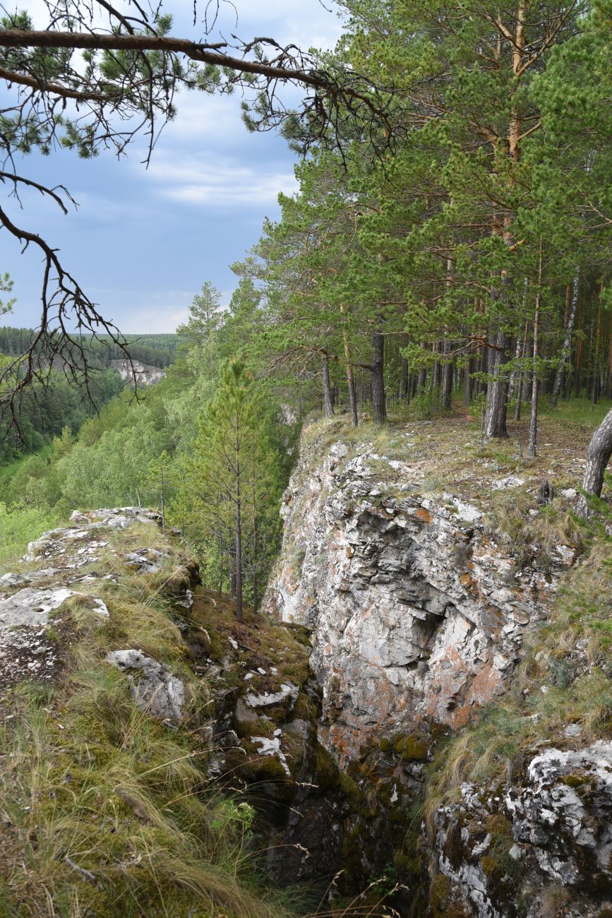 Скала Яман-Таш и окрестности, image of landscape/habitat.