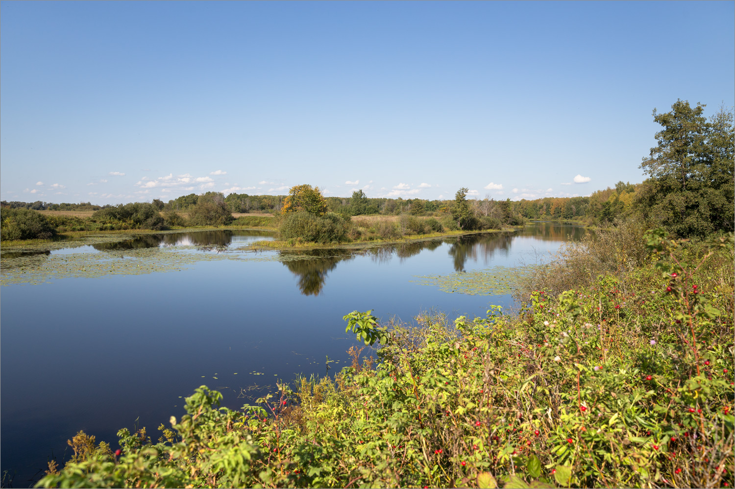 Стрелка Оки и Клязьмы, image of landscape/habitat.