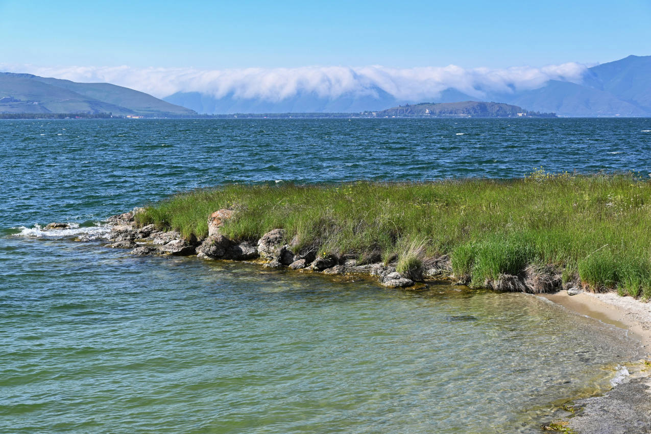 Окрестности села Норашен, image of landscape/habitat.