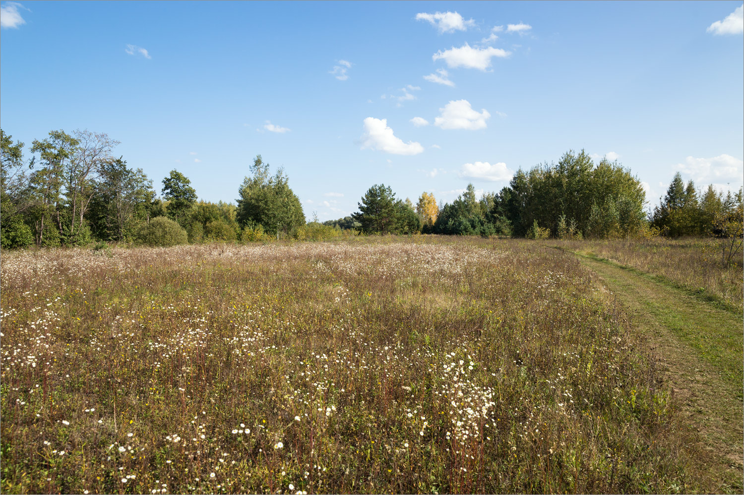 Стрелка Оки и Клязьмы, image of landscape/habitat.