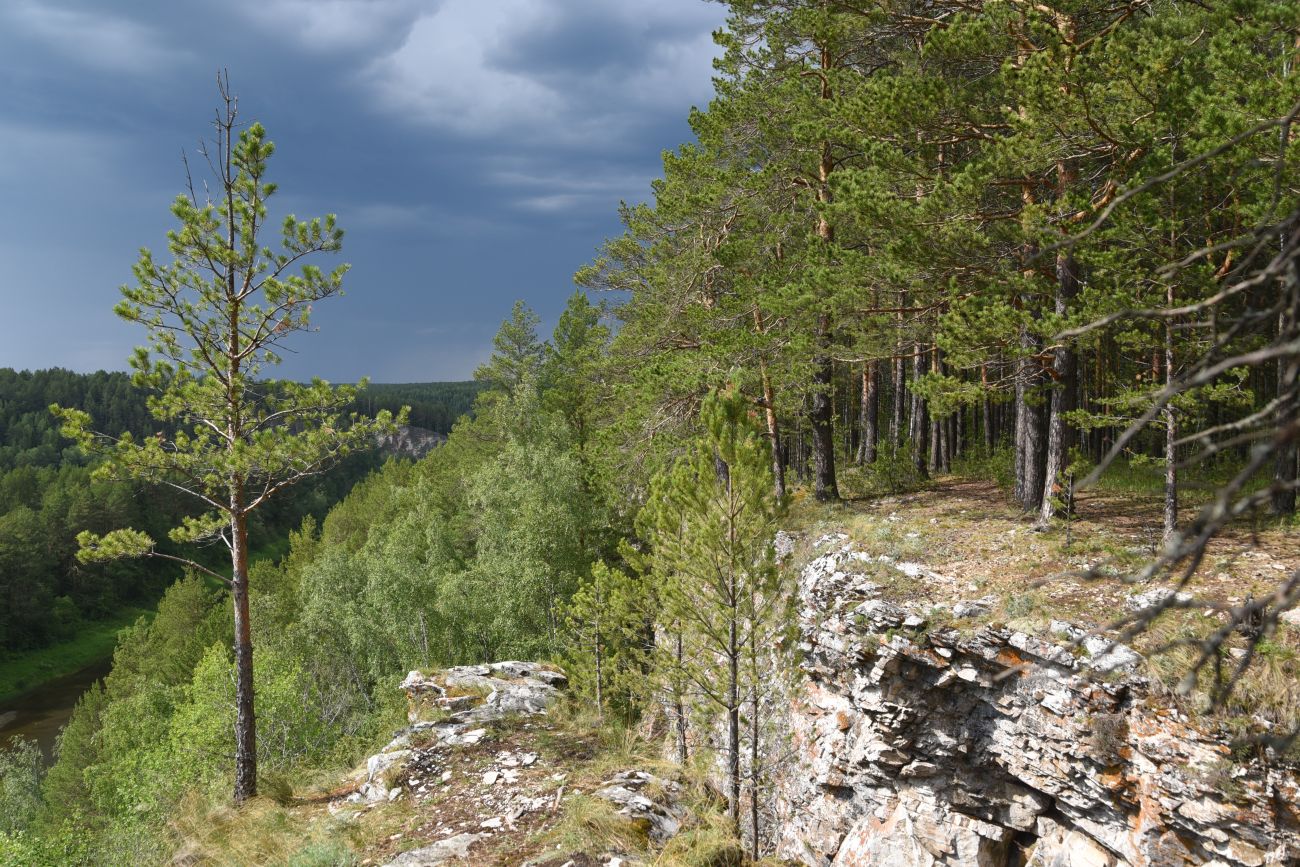 Скала Яман-Таш и окрестности, image of landscape/habitat.