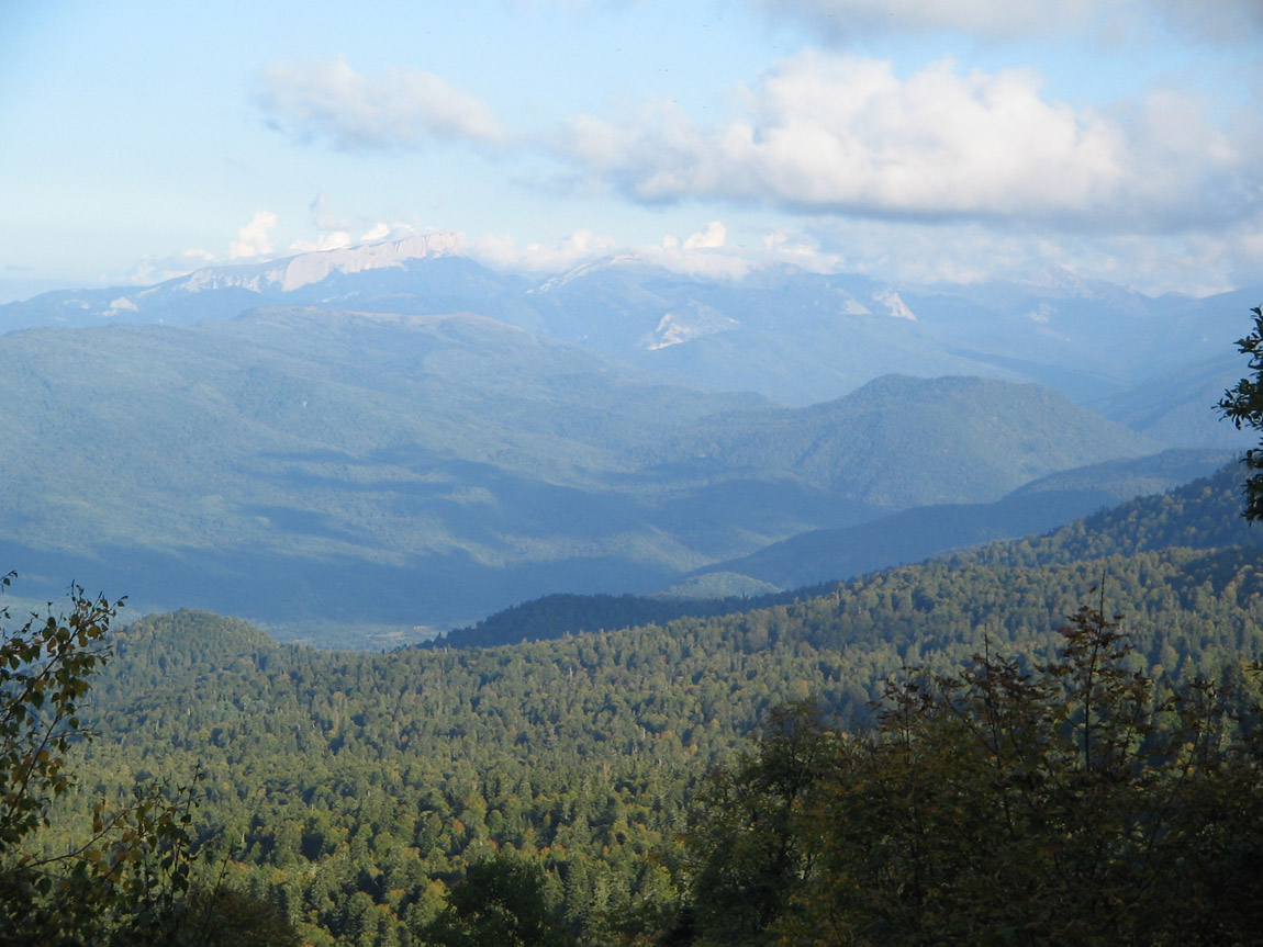 Верховья реки Белая, image of landscape/habitat.