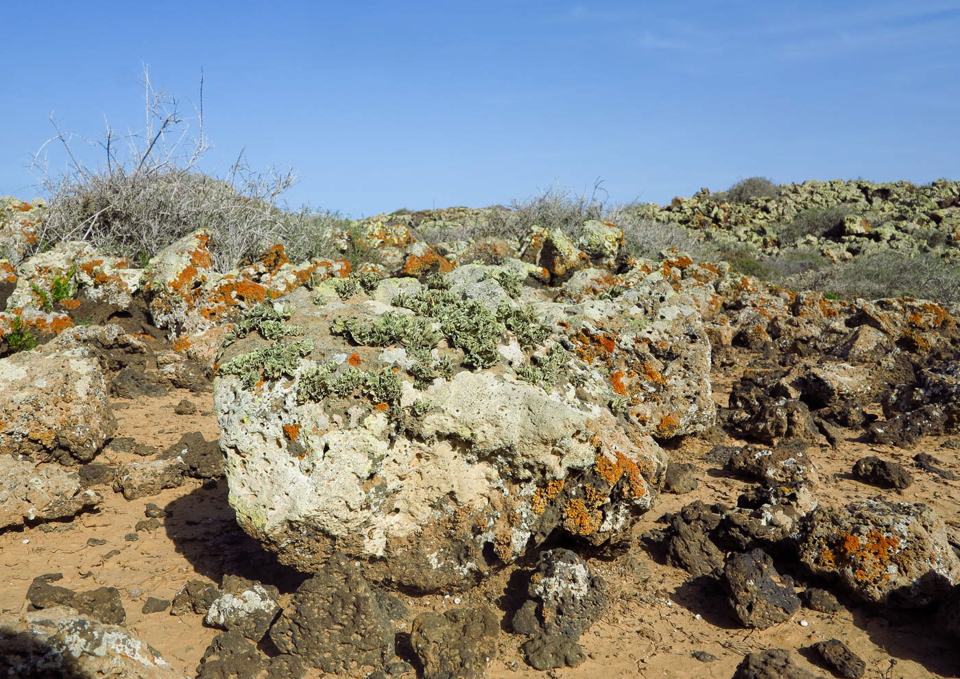 Эль Котильо и окрестности, image of landscape/habitat.