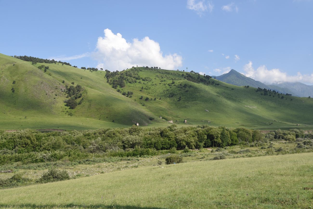 Урочище Балкоево, image of landscape/habitat.