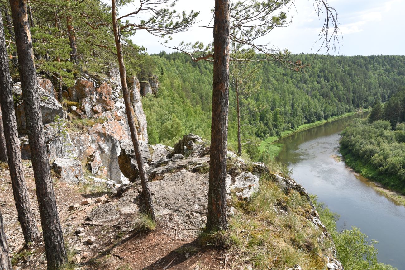 Скала Яман-Таш и окрестности, image of landscape/habitat.