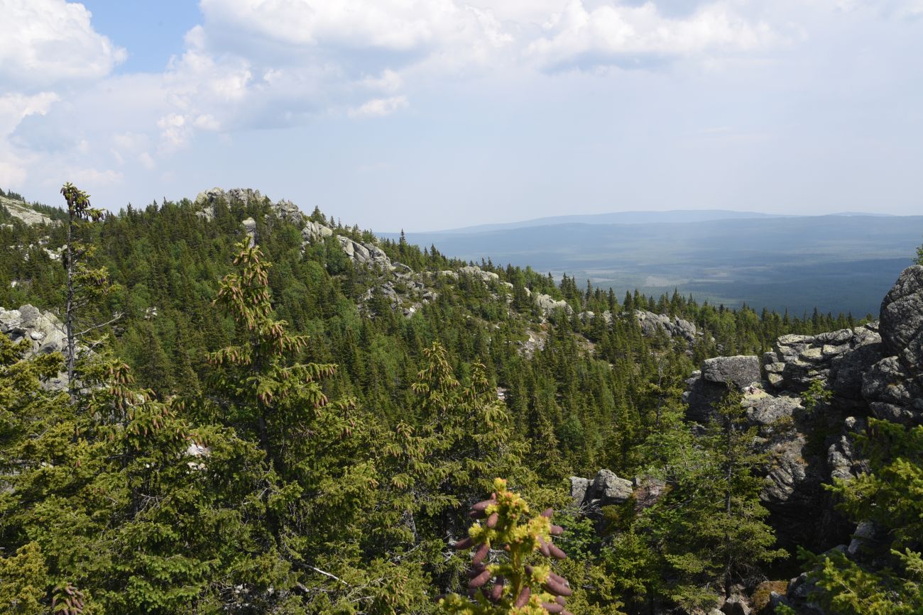 Круглица, image of landscape/habitat.