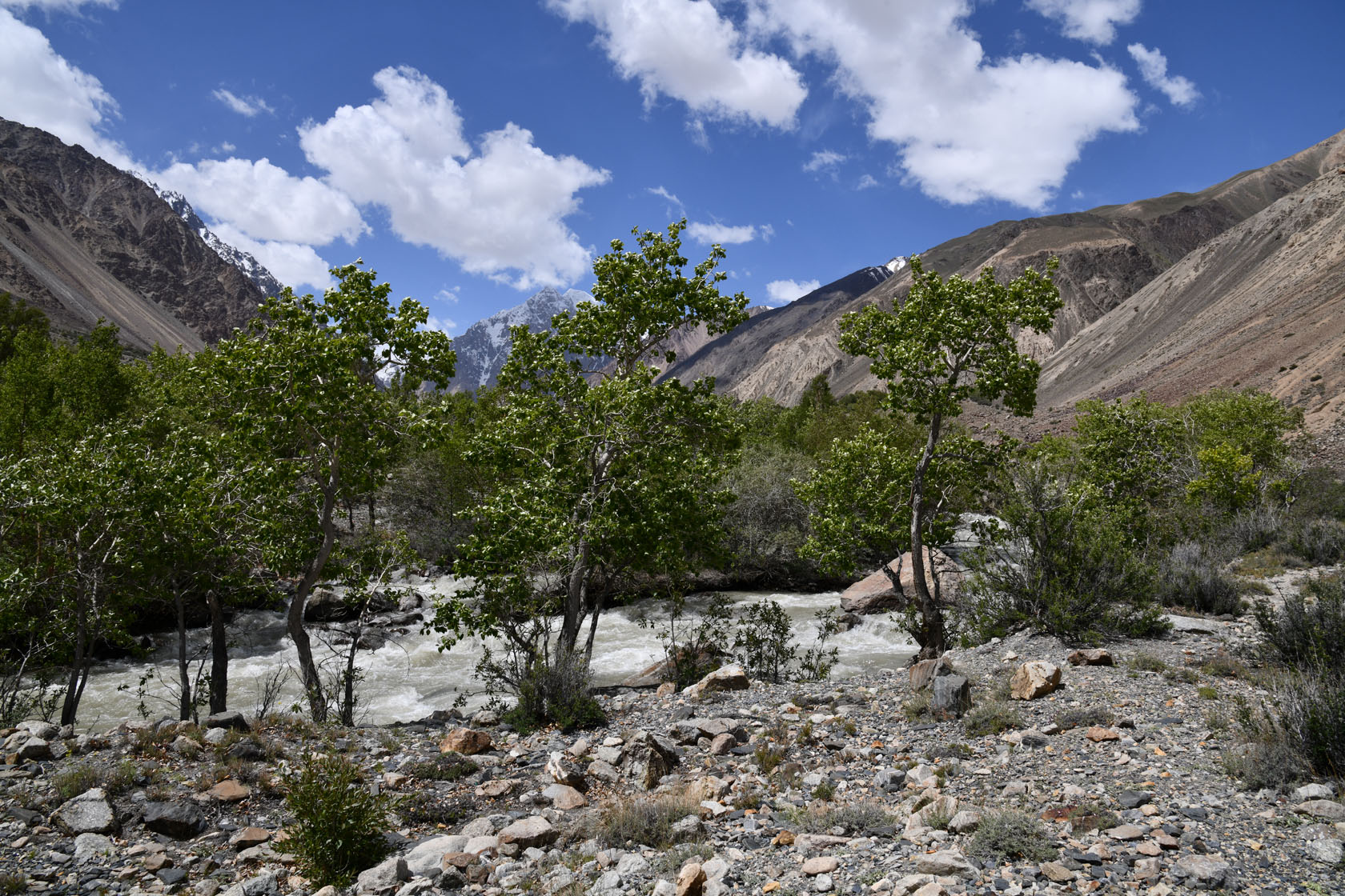 Ирхтский залив, image of landscape/habitat.