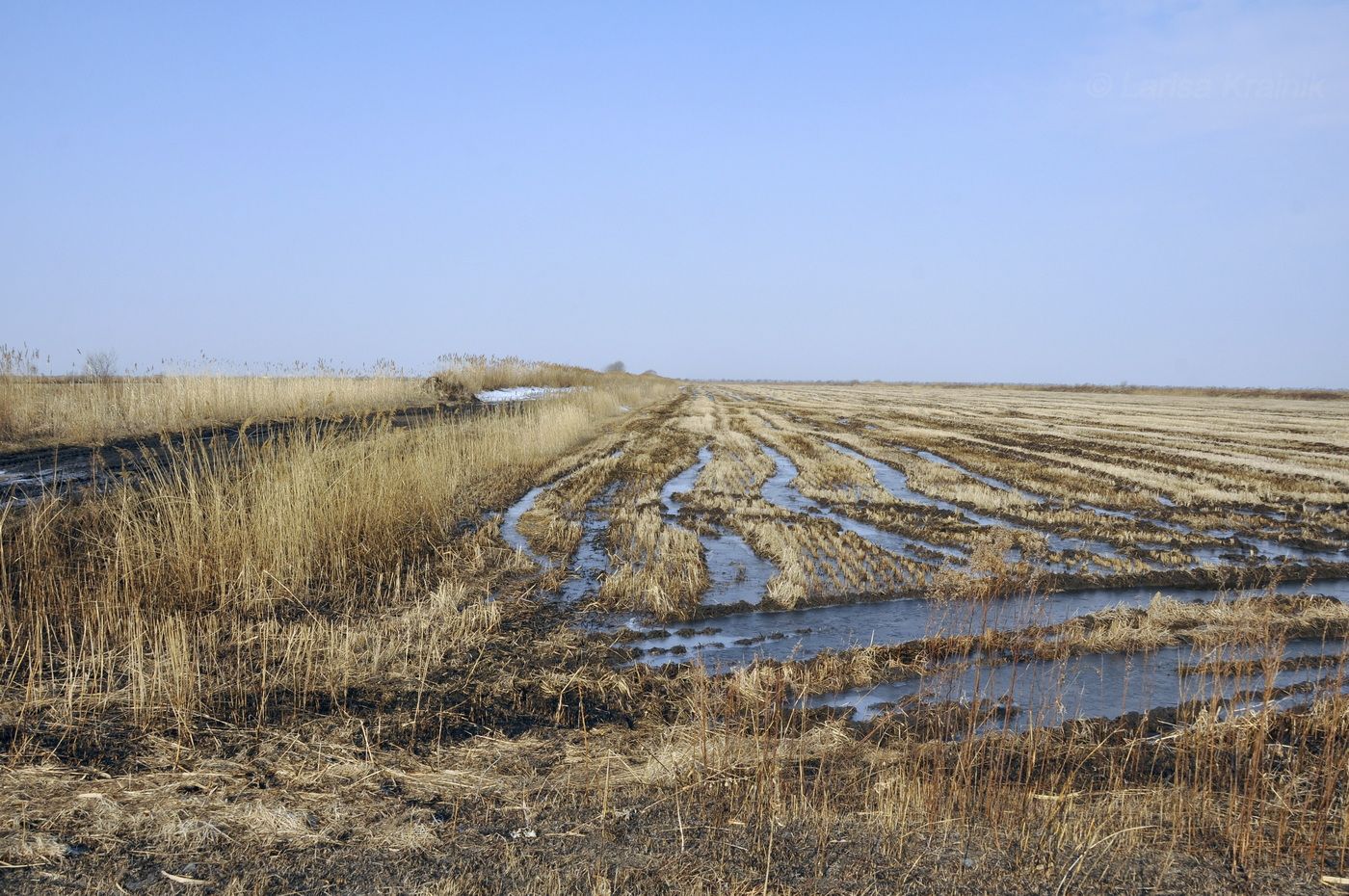 Окрестности Новосельского, image of landscape/habitat.