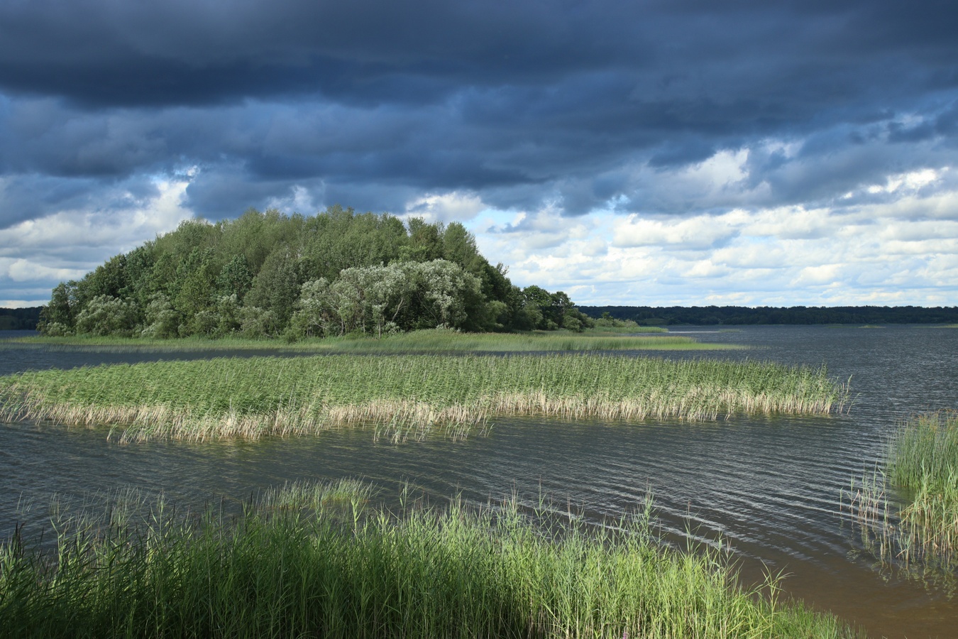 Езерище и окрестности, image of landscape/habitat.