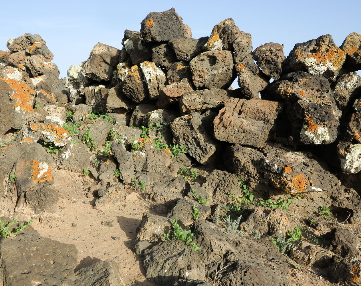 Эль Котильо и окрестности, image of landscape/habitat.