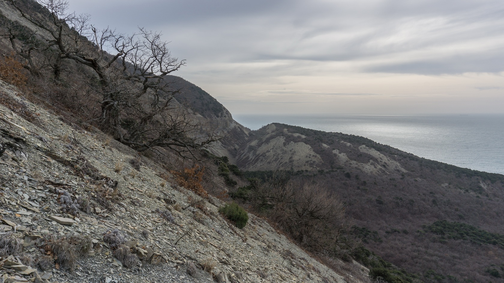 Мыс Большой Утриш, image of landscape/habitat.