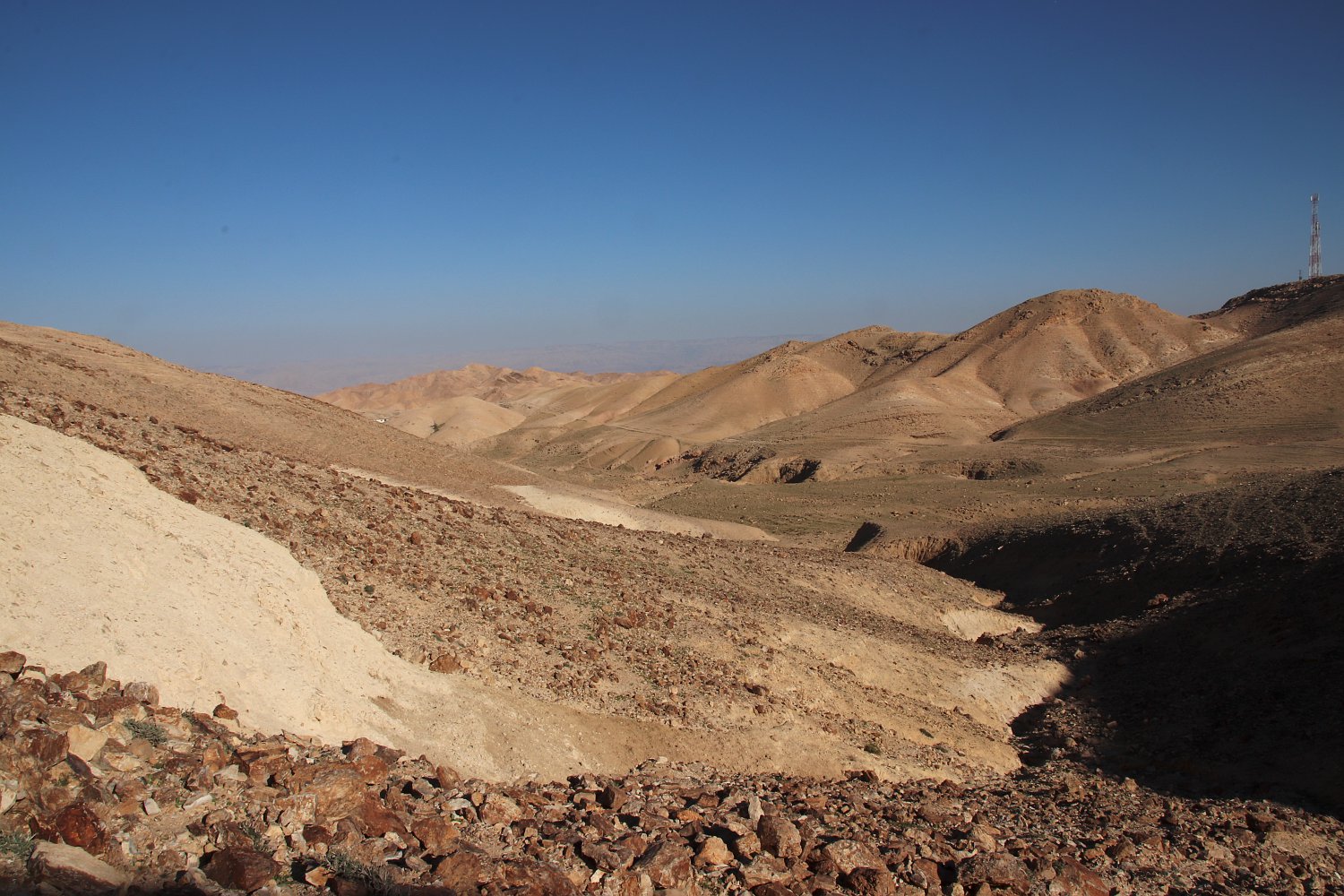 Арад, image of landscape/habitat.