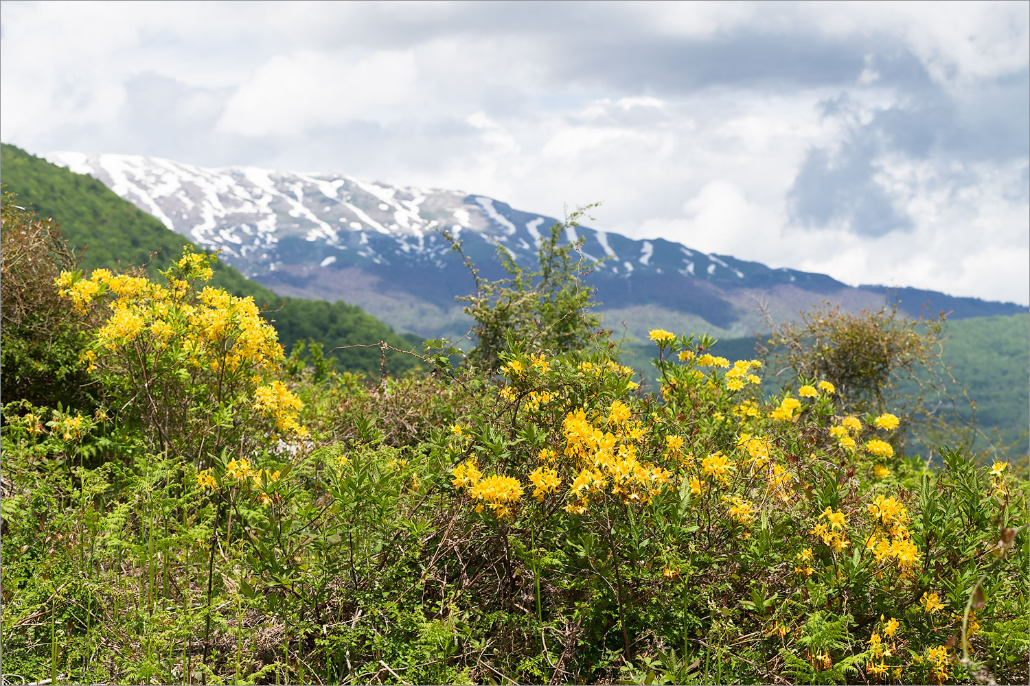 Каньон Окаце, image of landscape/habitat.