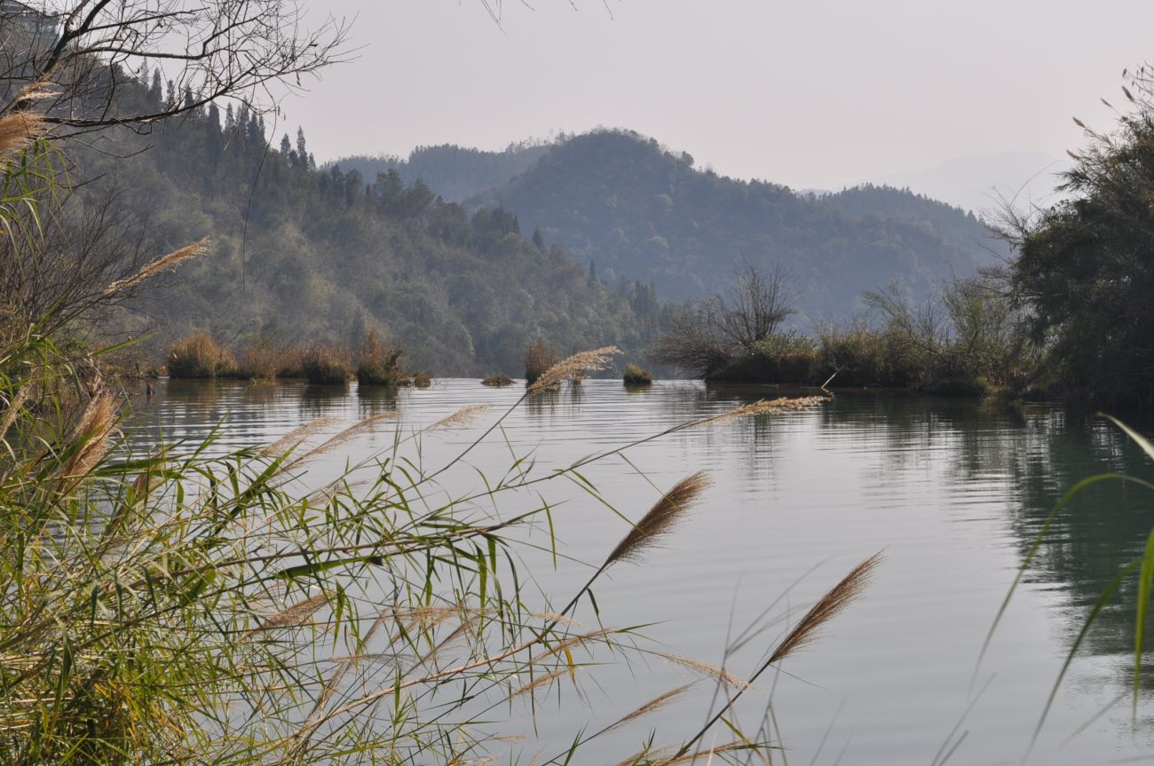 Окрестности водопада Цзюлун, image of landscape/habitat.