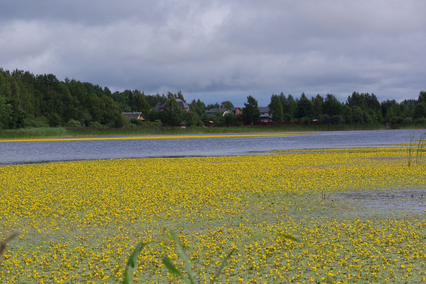 Река Полоновка, image of landscape/habitat.