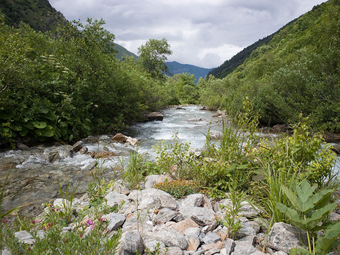 Имеретинка, image of landscape/habitat.