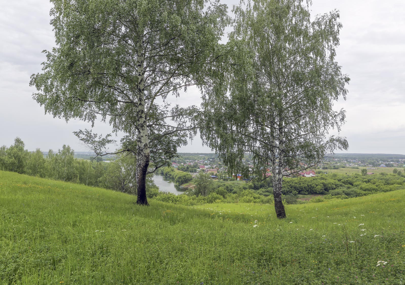 Спасская гора и её окрестности, image of landscape/habitat.