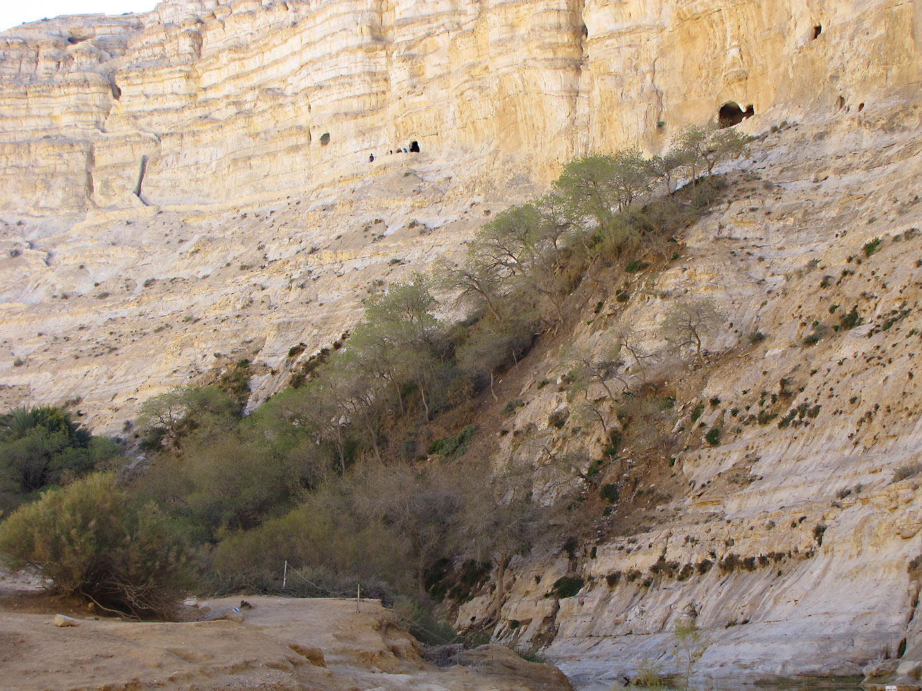 Эйн-Авдат, image of landscape/habitat.