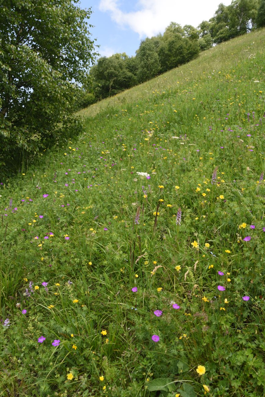 Хиндушты, image of landscape/habitat.