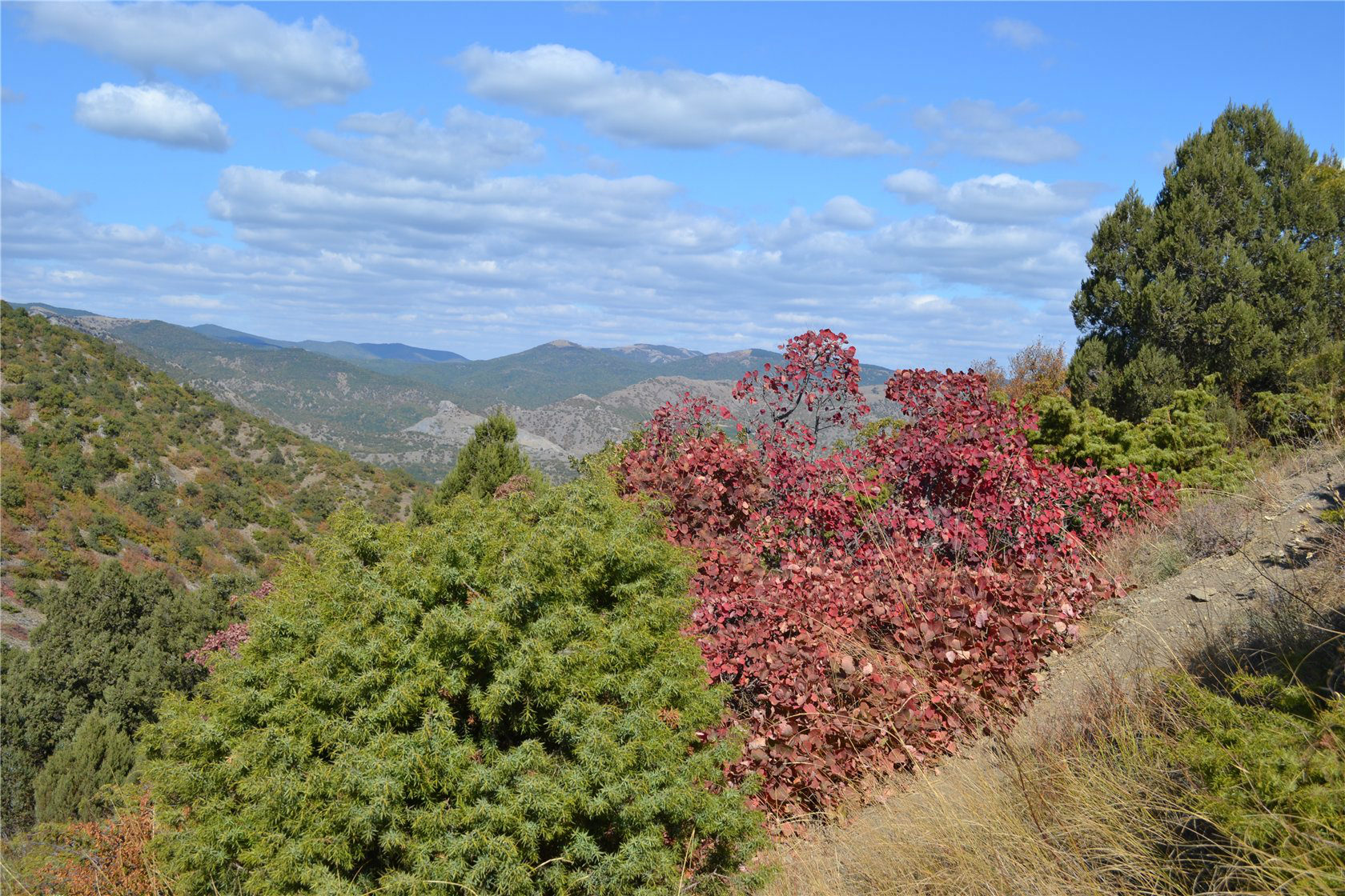 Перчем, image of landscape/habitat.