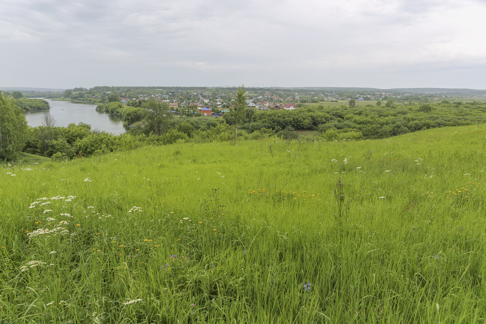 Спасская гора и её окрестности, image of landscape/habitat.