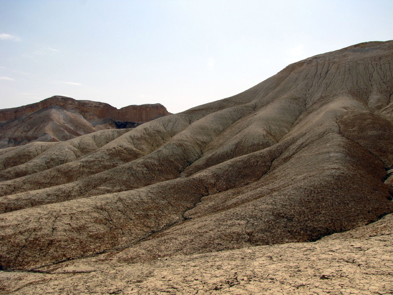 Нахаль Цын, image of landscape/habitat.