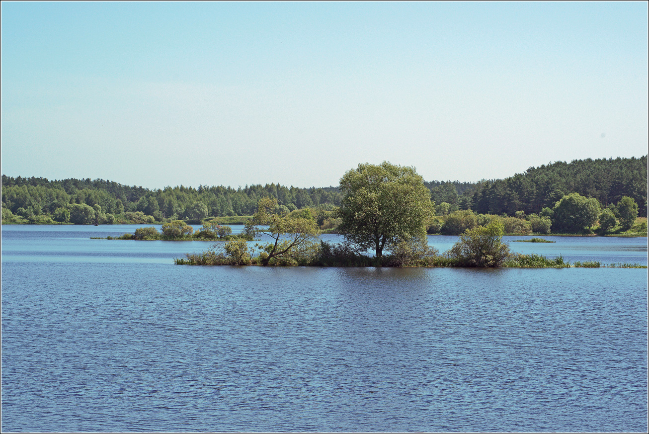 Эммаусс, image of landscape/habitat.