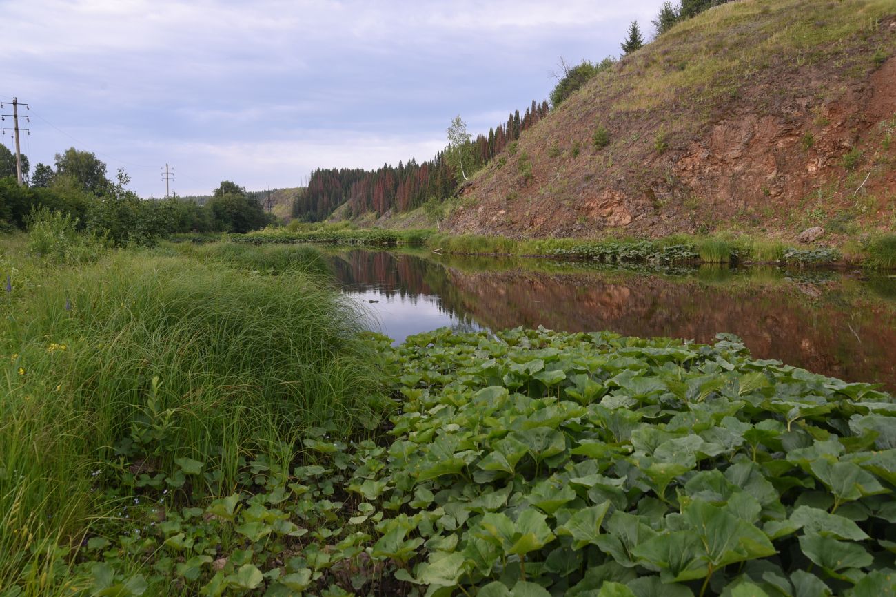 Река Нязя, изображение ландшафта.