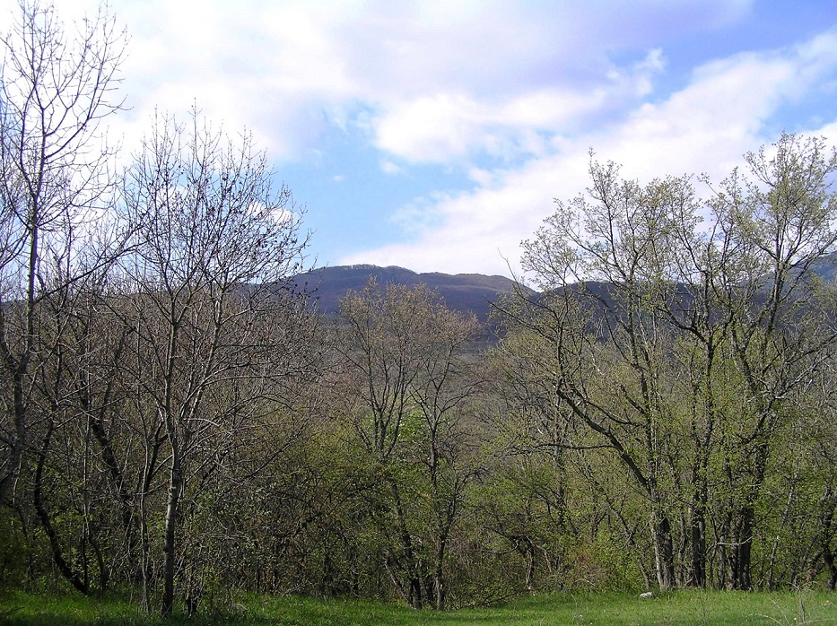 Окрестности села Лучистое, image of landscape/habitat.